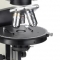 86.725 Novex Binocular microscope BBSP with circular stage for polarization