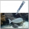 DMT-10 Druskingumo , tankio  ir temperatūros  matavimas sūraus vandens akvariumuose