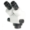 ZE.1670 Euromex binocular 1 to 7x zoom stereo head