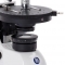 BB.4260-POL Euromex BioBlue binocular polarisation microscope