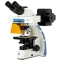 OX.3085 EUROMEX trinocular microscope for fluorescence